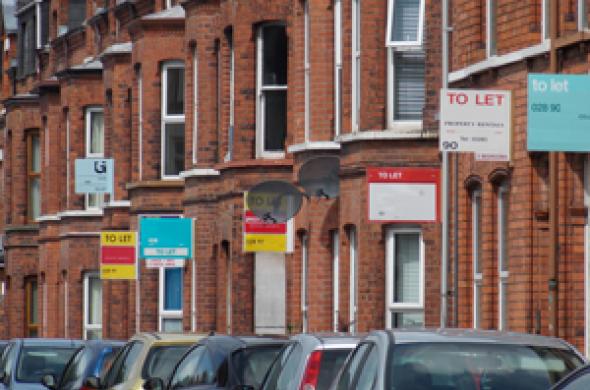 Photo of terraced houses with "to let" signs attached