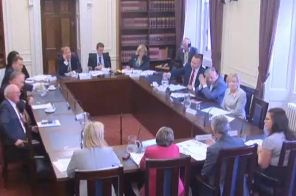 Image from oral evidence session video capture